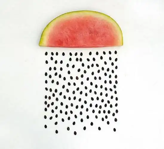 有趣的摄影有趣的生活