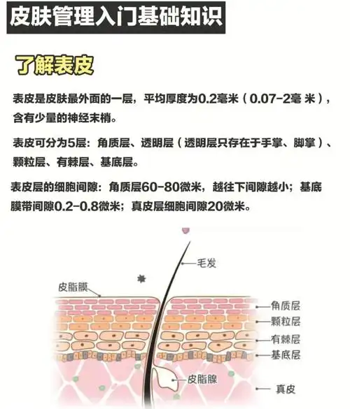 答:角质层具有保护作用,防水作用.