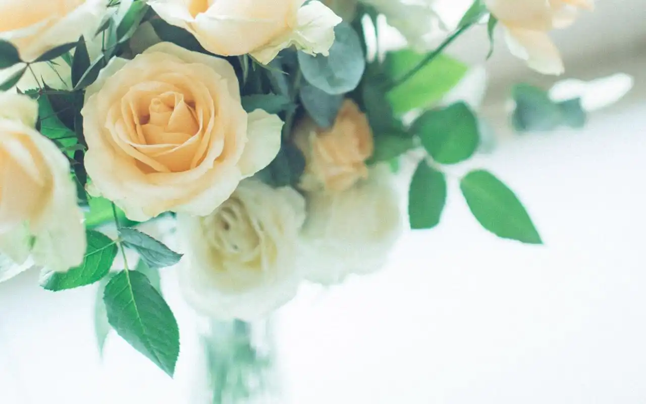 日系文艺小清新唯美静物高清桌面壁纸