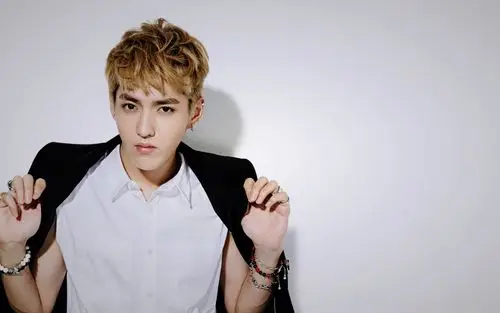 exo成员桌面壁纸,第18张图片