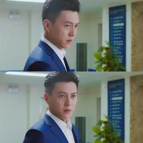 靳东 我的前半生贺涵