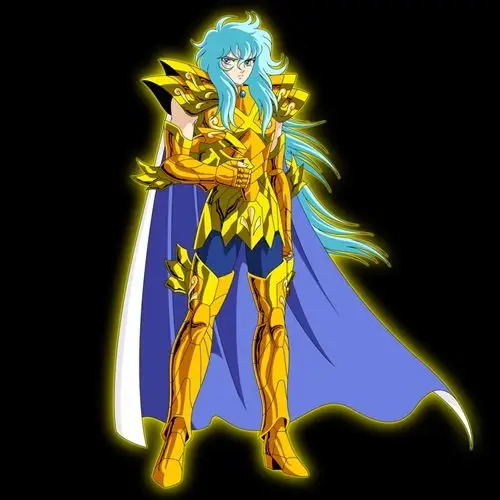 要几张双鱼座黄金圣斗士有连贯性的动作图片(要帅气点的)