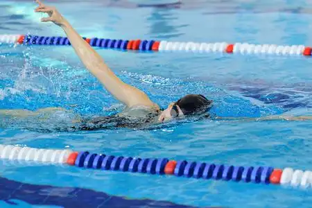 自由泳图片-自由泳素材-自由泳插画-摄图新视界