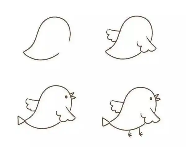 鸟儿简笔画的顺序