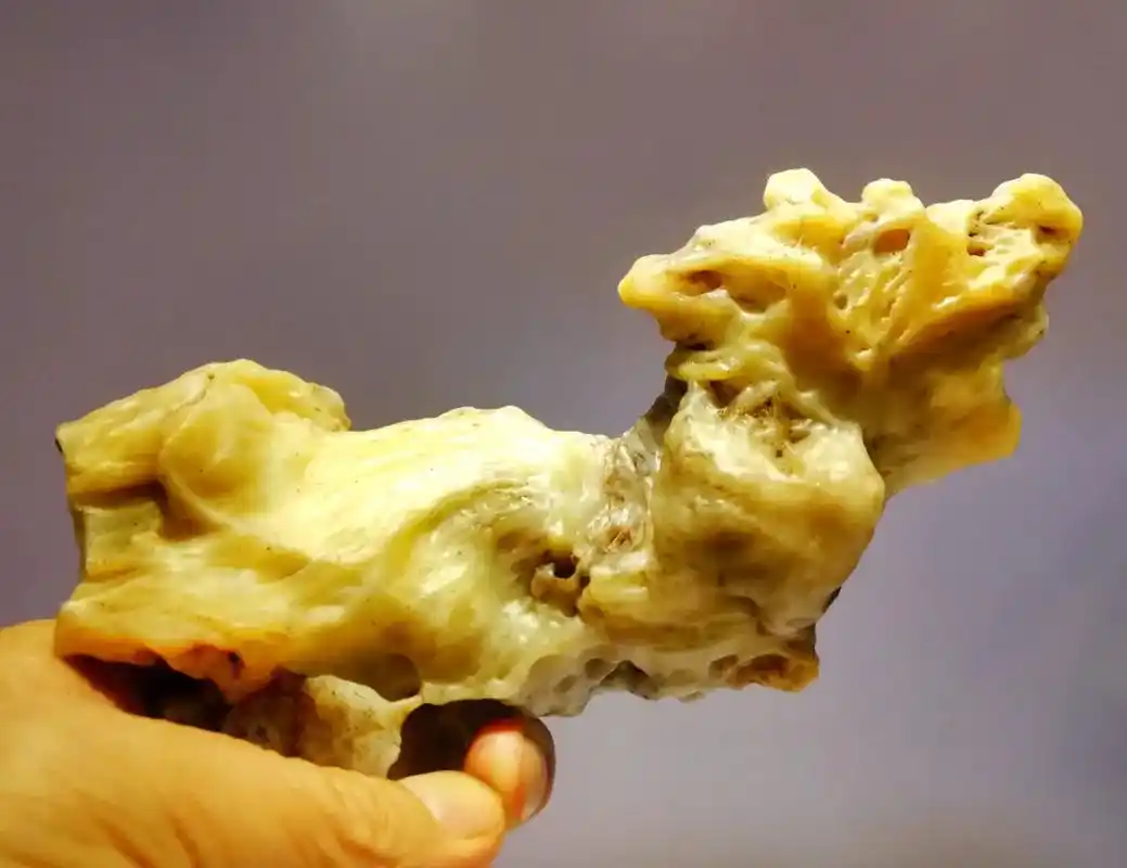 二月二龙抬头 #美石分享 #纯天然奇石 #抖出我的艺术 # - 抖音