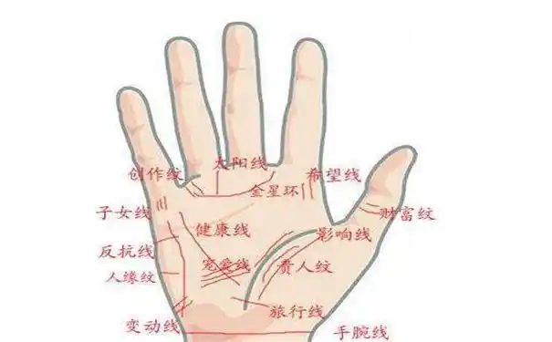 手相三条线简单解析