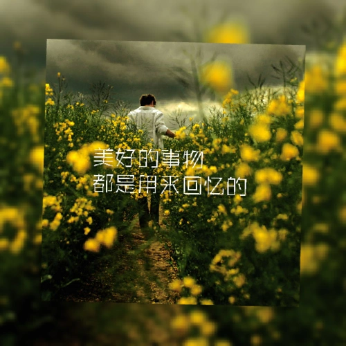 美好的事物都是用来回忆的,文字,liaojing卡诺原创