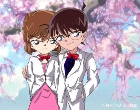 木木眼里的《名侦探柯南》里的十大情侣个人向(非腐)