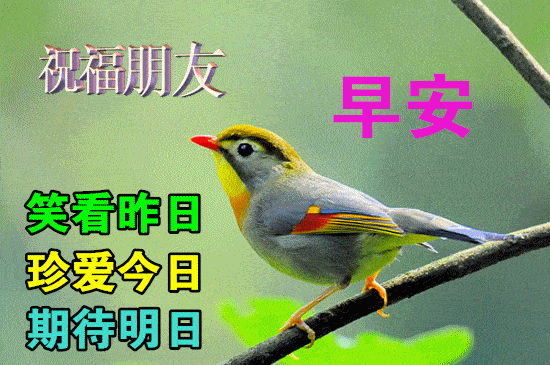 11月5日最漂亮早上好动态表情图片大全早晨好动图美图大全