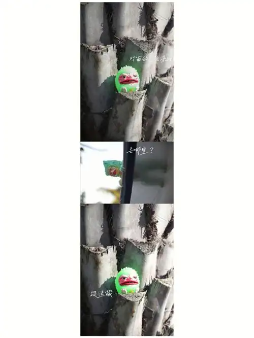 中古皮蒙躲猫猫事件