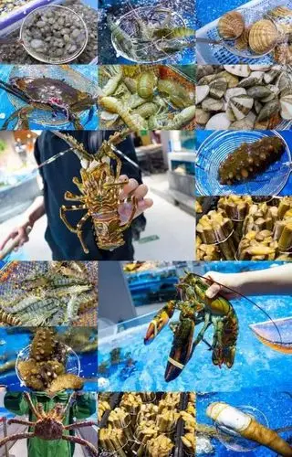 人均100 ,在宝燕到家会员店吃遍全球生猛海鲜~_美食街