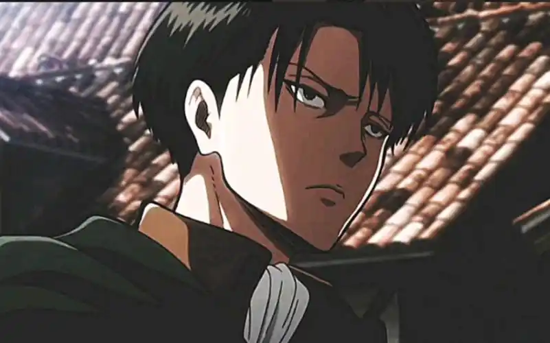 【利威尔·阿克曼】无悔的选择