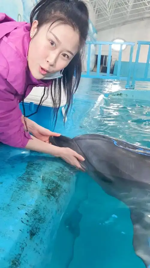 家有萌宠小姐姐要给大家介绍一下海豚宝宝的眼睛