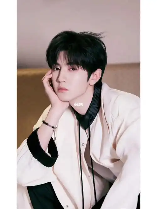 bio组合门面担当的身份正式出道粉丝名:元宝94微博:陈哲远-【作品】