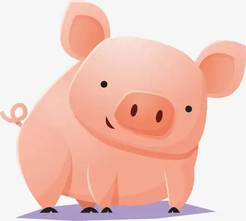 图真猪头像可爱猪头像可爱_微信猪猪头像_可爱图片
