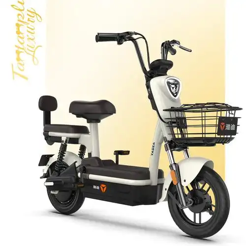 雅迪电动车淘淘plus豪华新款国标智能刷卡电池电动自行车