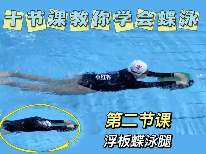 十节课教你学会蝶泳第二节课浮板蝶泳腿