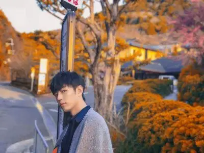 肖战× 日本五两甜