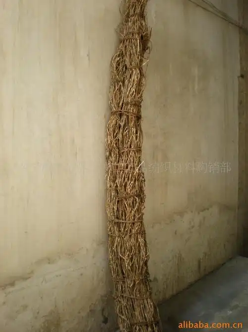 白骨藤 原料 工艺品编织材料