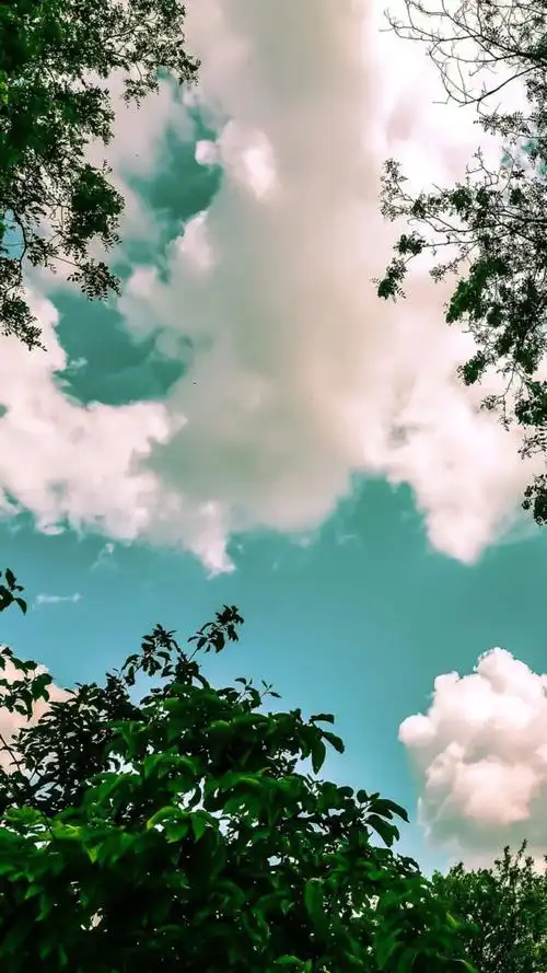 11月29日 12:30   关注  你是这世间最可爱的小星星 ins 壁纸 少女