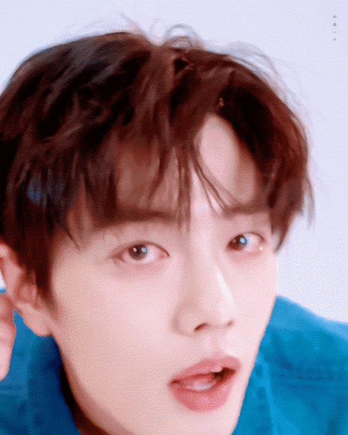 肖战动态壁纸10秒