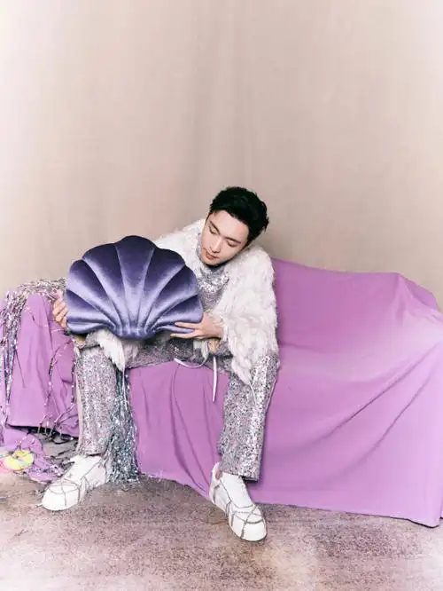 张艺兴同款贝壳包枕咱也有了09