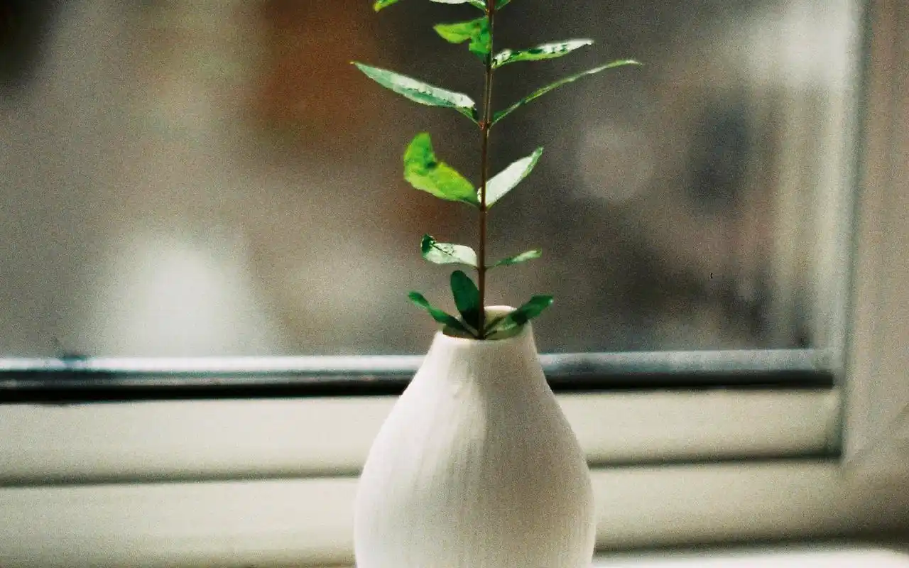 小清新室内高清唯美静物图片桌面壁纸