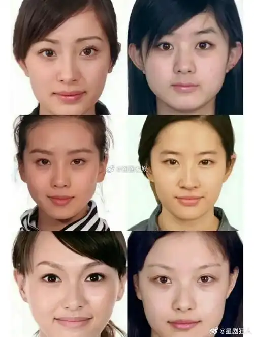 照##85花的证件照#85花证件照,杨幂,赵丽颖,刘诗诗,刘亦菲,唐嫣,倪妮