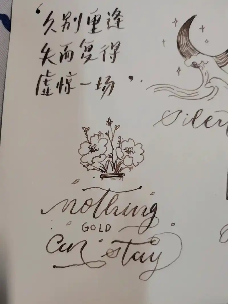 手帐 #简笔画 #花体英文 新手的尝试 - 抖音