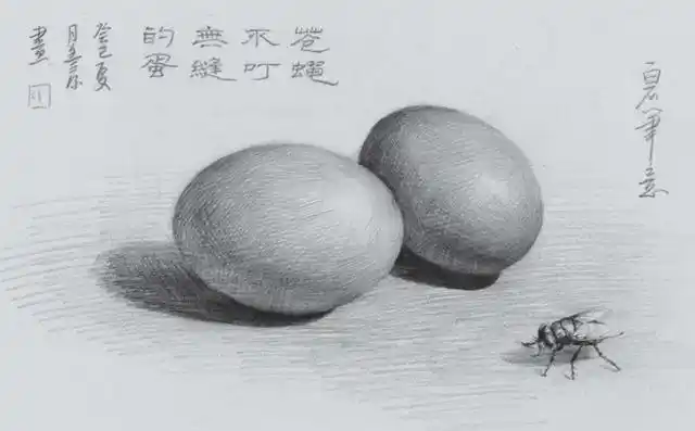 素描鸡蛋的画法步骤