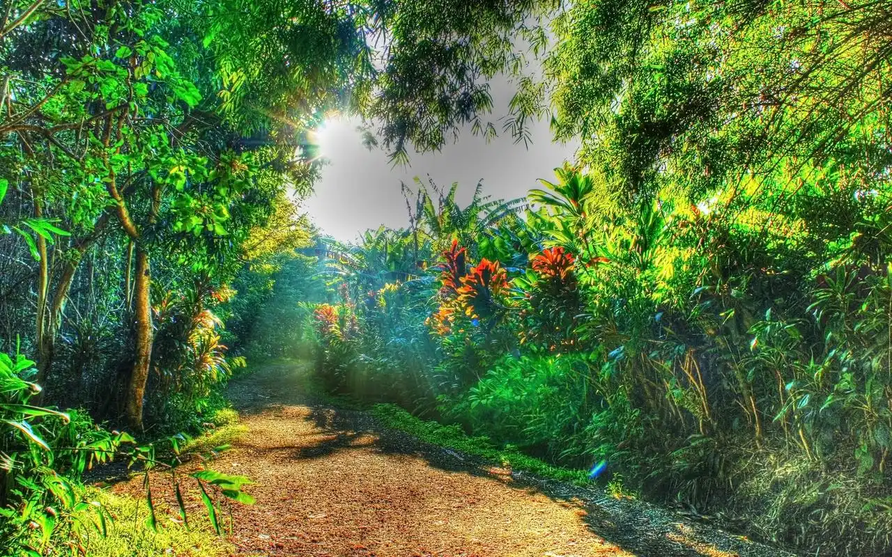 美丽海岛风景超清唯美桌面壁纸