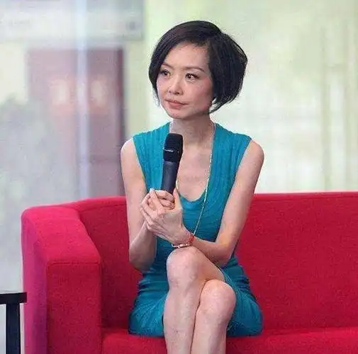 鲁豫的主持风采,一直深受大众的青睐与喜爱,其独特的风格宛如一缕清风