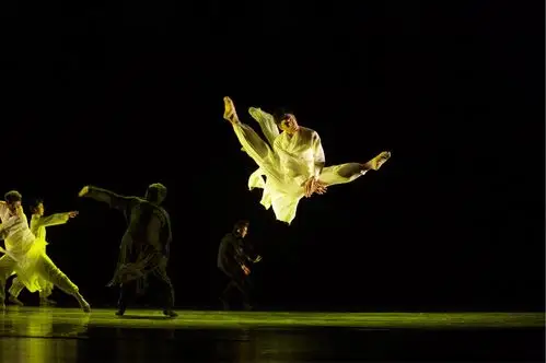 第十一届中国舞蹈《荷花奖》古典舞评奖剧照(三)