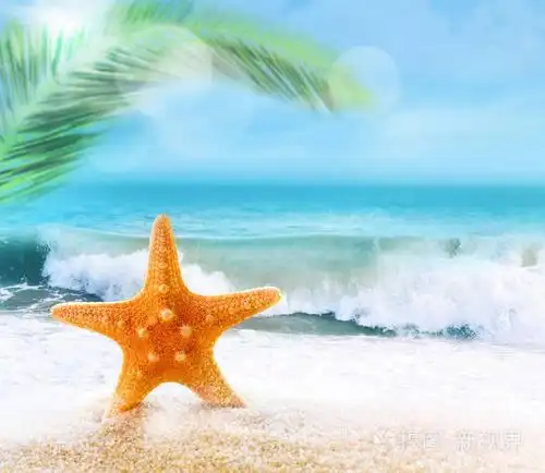 在沙滩上的海星