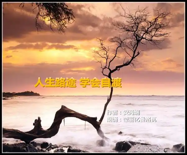 路,无论有多少人相守相陪,相助相扶,到最后还是要自己一个人走下去