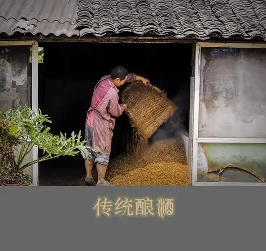 【传统工艺酿酒摄影图片】国内摄影_太平洋电脑网摄影部落
