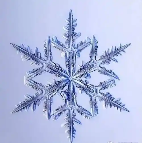 数学中的对称美浐灞第十二小学三年级数学实践活动