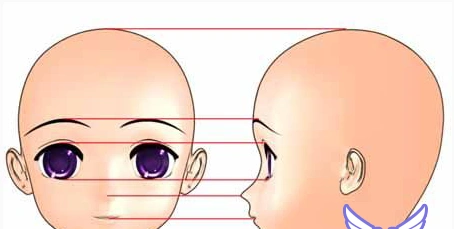 把正面和侧面图赋予两个相交nurbs曲面做参考