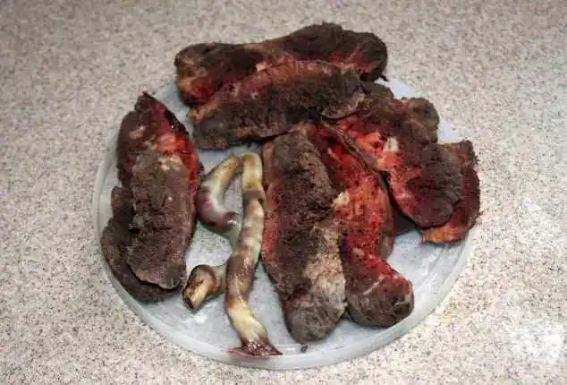 老外也学中国人吃胎盘专家笑了