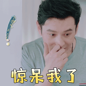 中餐厅黄晓明惊呆我了搞怪gif动图_动态图_表情包下载_soogif