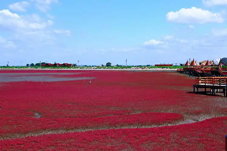 其它 东北行美篇之十六-游览盘锦红海滩 写美篇
