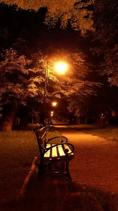 夜色很美,路灯很亮.