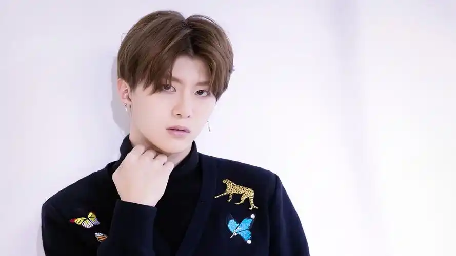 明星风尚 偶像练习生 范丞丞壁纸(明星静态壁纸) - 静态壁纸下载 - 元