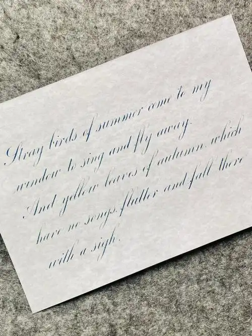 英文书法字体es练习飞鸟集节选