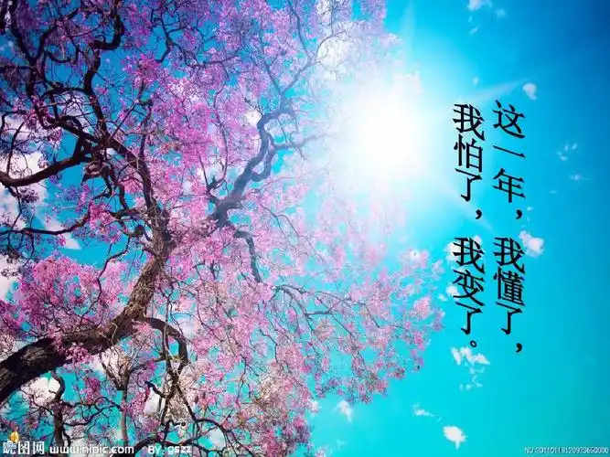 这一年,我懂了,我怕了,我变了