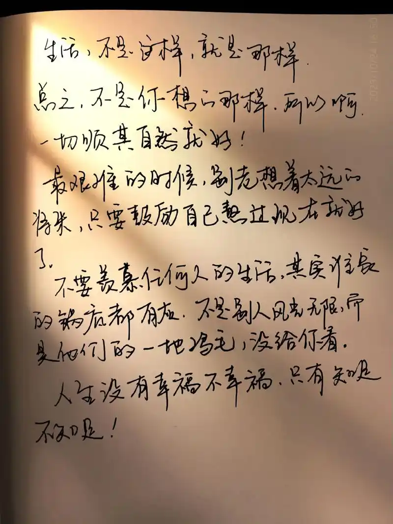 7115手写摘抄|文字分享