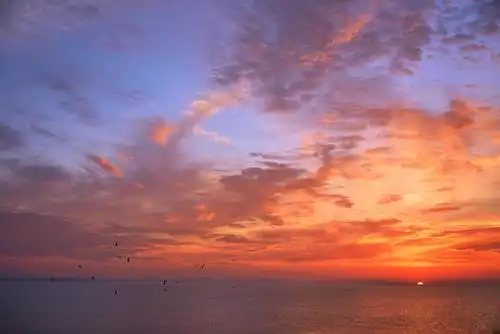 原图欣赏-太平洋摄影部落