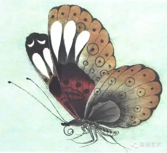 图文教程工笔蝴蝶设色步骤示范