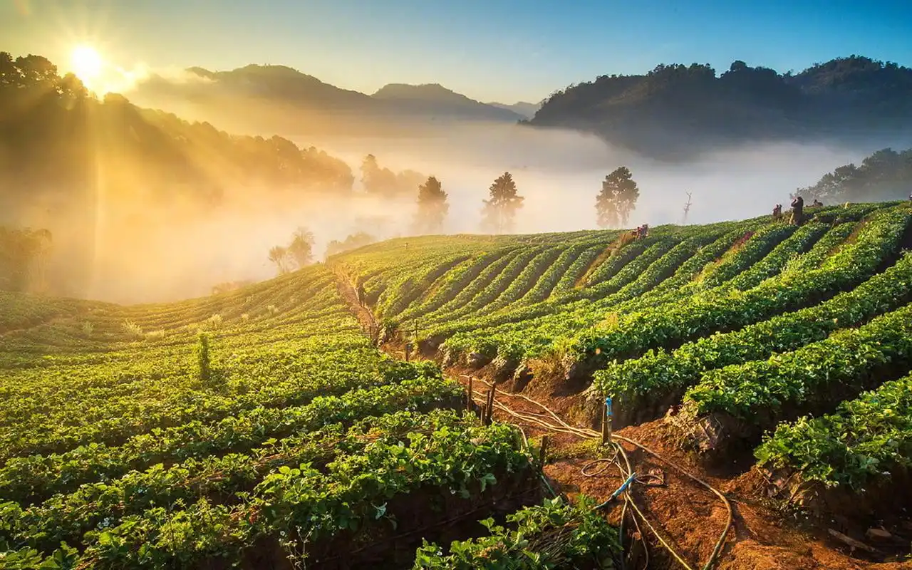 日出美景图片高清电脑壁纸-风景壁纸-手机壁纸下载-美桌网