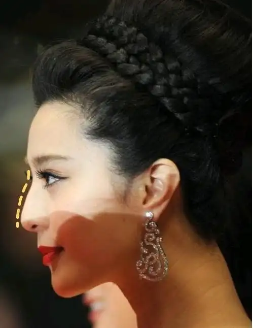 一到半侧面,我找了两个,都不那么像范冰冰了,因为范冰冰的【鼻子